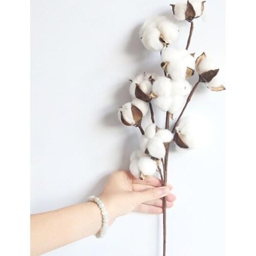 10 Head Naturally Dried Cotton Flower Artificial Plants Floral Branch For Wedding Party Garland Supplies Fake Flowers Home Decor