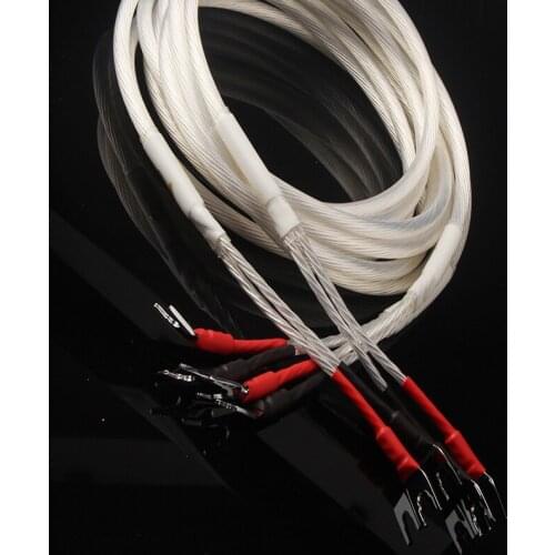 2020 One Pair HIFI Silver-Plated Speaker Cable Hi-END 4N OFC Speaker Wire For HI-FI Systems Y Plug Banana Plug Speaker Cable