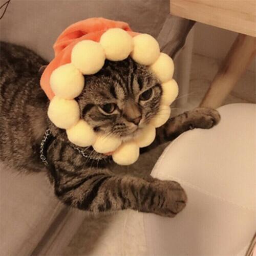 Novelty Pet Dogs Cats Costume Hat Plush Animals Warm Soft Cosplay Cap Headwear Dressing Up Cat Party Costume