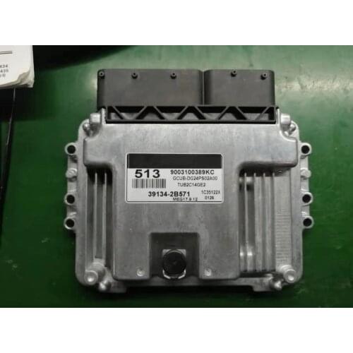 NEW Car Engine Computer Board ECU Electronic Control Unit 39134-2B571 MEG17.9.12