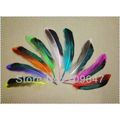 Feather decoration! decorative feathers! 200Pcs/Lot 10-13CM Dyed Mallard Duck Wing Quill Feathers 9Colours Available
