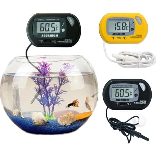 Ebanlan Pet Supplies