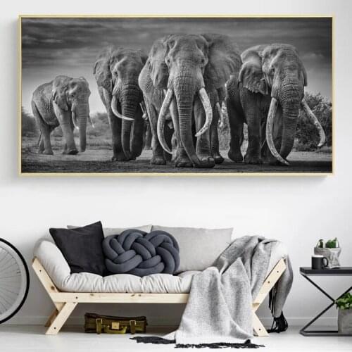 Elephant Poster Black And White Prints Animal Canvas Painting Wall Art Pictures for Living Room Decoration Modern Home Decor