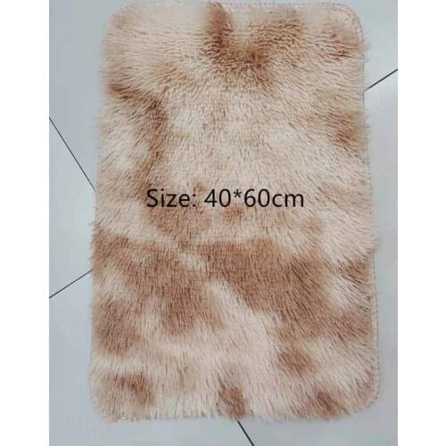 Hot 40*60cm Non-Slip Blanket Bedroom Bedside Carpet Living Room Coffee Table Sofa Washed Silk Hair Floor Mat Solid Color Plush