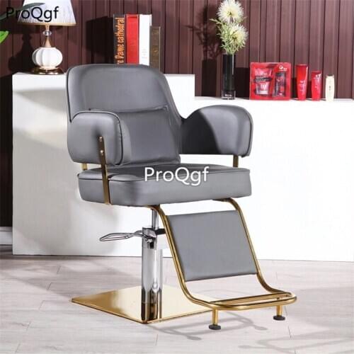 Prodgf 1Pcs A Set Nordic Fashion Salon Chair with gold base