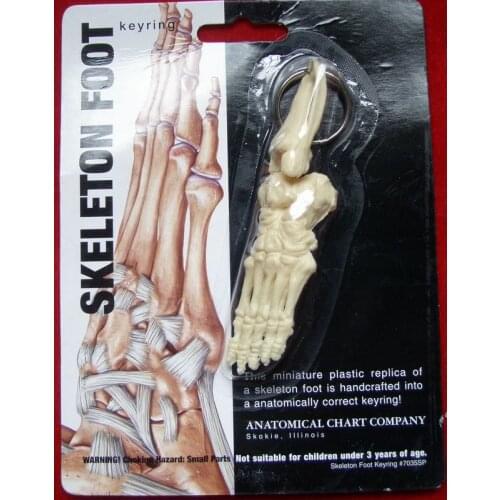 Foot joint Key Chains Human Body Model accessories free shipping