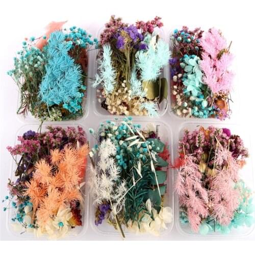 1 Box Real Dried Flower Dry Plants For Aromatherapy Candle Epoxy Resin Pendant Necklace Jewelry Making Craft DIY Accessories