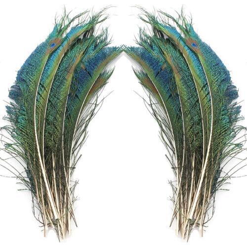 100pcs/Lot Peacock Feathers Wing Craft Feathers Decoration Feathers for Crafts Plumas Carnaval Pluma Peacock Decor Feather Plume