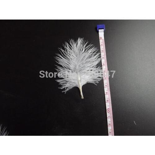 200pcs/lot!5-10cm long WHITE Ostrich Small Confetti Feathers,Confetti Feathers,Small Feathers,White feathers for wedding