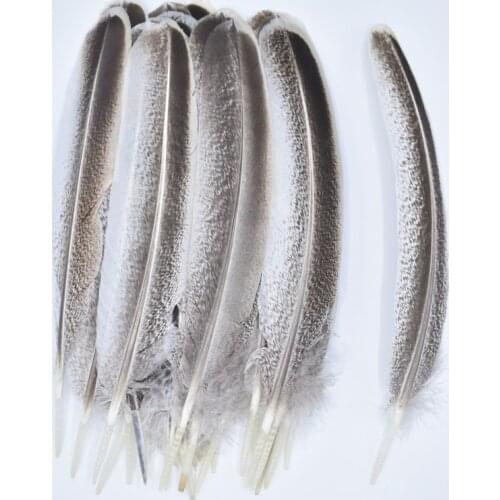 Natural Eagle Feathers for Crafts Feathers Decoration Carnaval Assesoires Plumas Carnaval Feathers Decoration Feather Decor Diy