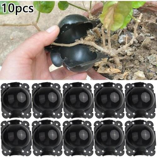 10 Pack Plant Rooting Ball Grafting Rooting Growing Box Breeding Case For Garden Plant High-pressure Propagation Box Black 5/8cm