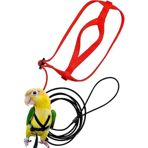 Hot Sale Anti-bite Flying Training Rope Parrot Bird Pet Leash Kits Ultralight Harness Leash Soft Portable Pet Playthings