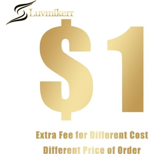 Extra Fee For More Quantity Extra Custom Fee For Custom Order ,Balance for Upgrade Hair Length Density Or 13x6 Front Cap