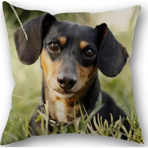 Dachshund Dog Pillowcase Cotton Linen Fabric Square Zippered Pillow Cover For Home Wedding Decoration 45X45cm Not Fade