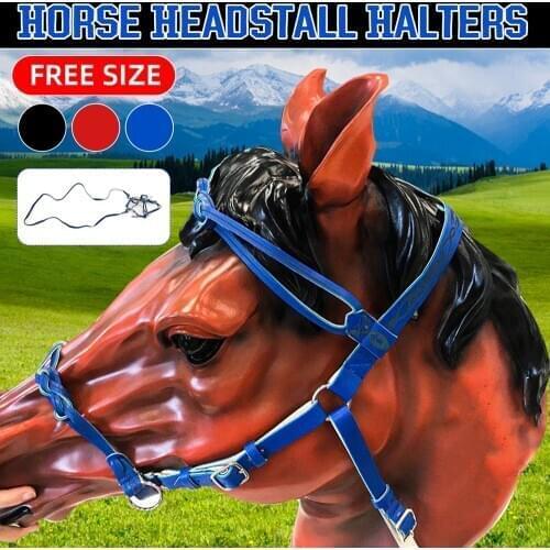 Gallop Padded Leather Flash Bridle with Rubber Reins Shetland Pony Cob Horse