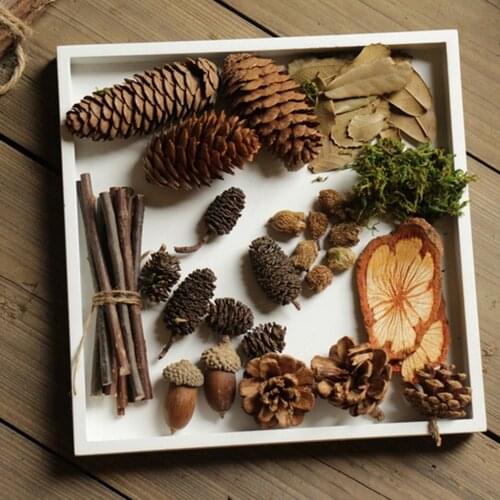 10Pcs Natural Mini Acorns Dried Flowers Christmas Accents Home Decoration Ornaments Lightweight Natural Dried Acorns