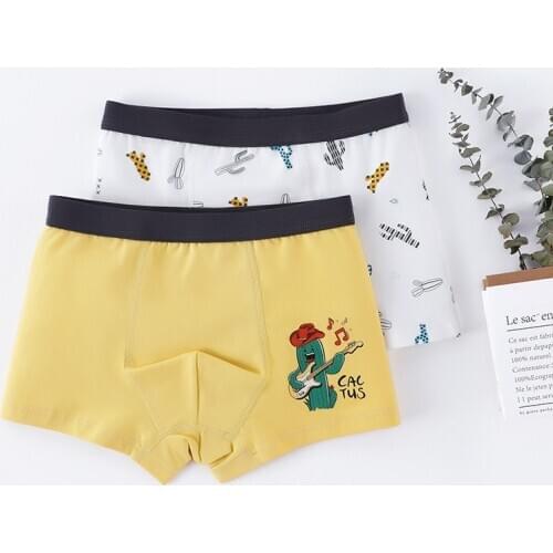 New 2 Pcs/pack Panties for Kids Boys Breathable Teen Panties Shorts Cartoon Car Print Underwear Boxer Children 4 8 12 14Years
