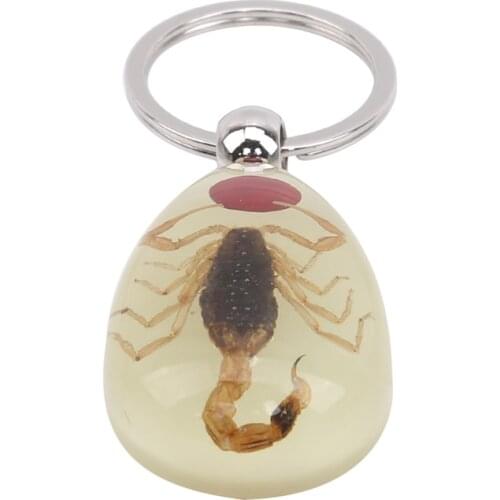 Luminous Real Insect Key Chain - New Luminous Product Real Ant And Scorpion Keychain Bag Car Key Ring