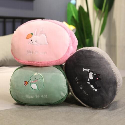 Cartoon Pillows Home Decor Cushions Friends Tv Show Decorative Sofa Dakimakura Throw Kawaii Dinosaur Office Warm Soft