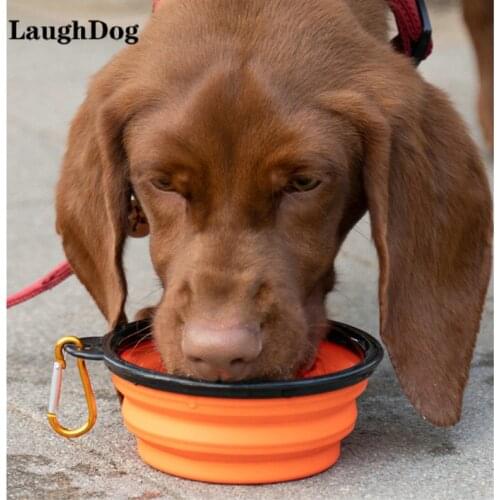 Collapsible Dog Bowls for Travel Dog Portable Outdoor Water Bowl for Dogs Traveling Camping Walking Pet Feeder Folding Bowl Dish