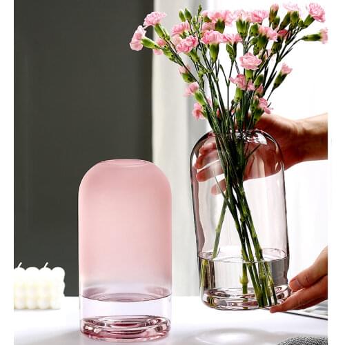 European Style Simple Vase Creative INS Glass Flower Living Room Dining Table Home Decoration Transparent Flower Crafts Vases