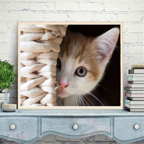 5D DIY diamond painting cross stitch cute white cat full square rhinestone diamond embroidery animal living room decoration gift