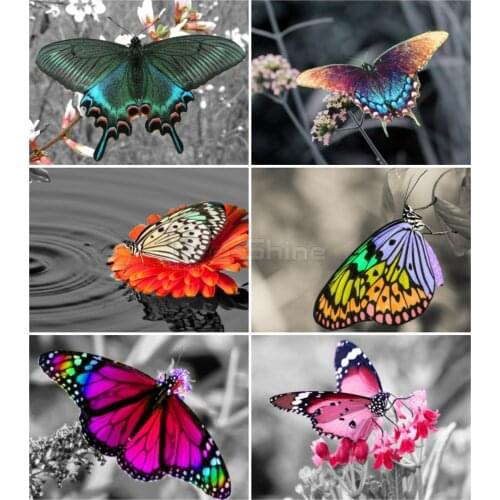 EverShine Butterfly Diamond Painting Full Drill Square Animals Cross Stitch Diamond Embroidery Bead Picture Kit Wall Decor