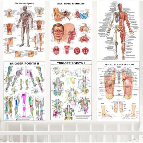 Human Body Science School Education TRIGGER POINTS CHART INFORMATIONAL ANATOMY Canvas Painting Wall Art Posters Prints Pictures