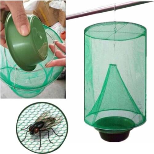 SPREEY Insect Traps