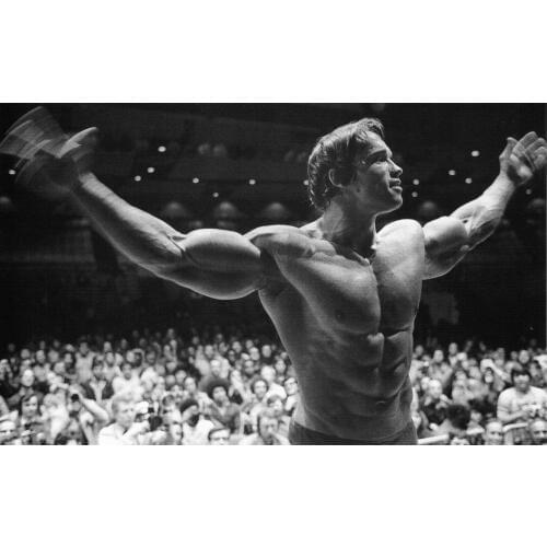 Arnold Schwarzenegger Poster Canvas Painting Art Characters Fitness Inspirational Decorative Painting Wall Pictures Living Room