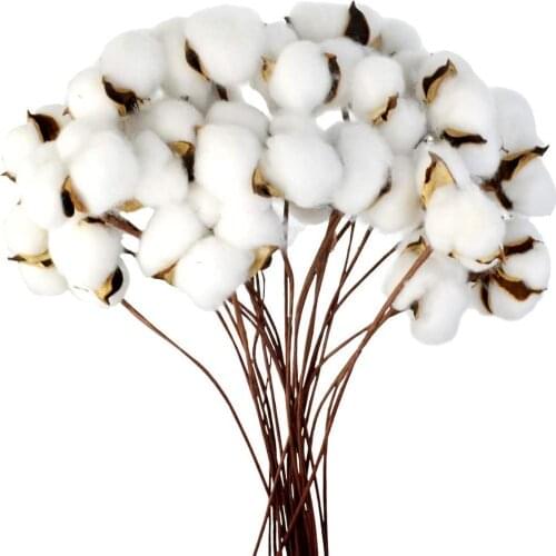 20PCS Naturally Dried Cotton Flower Artificial Plants Floral Branch For Wedding Party Decoration Fake Flowers Home Decor Floral