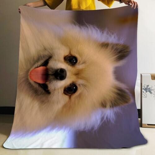 Musife Custom Pomeranian Dog Flannel Blanket Design Your own Blanket Flannel Blankets for Sofa DIY Dropshipping
