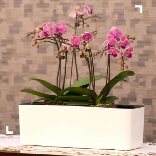 39cm Detachable Plastic Self Watering Plant Flower Pot Planter Home Garden Deocration