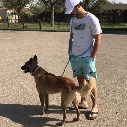 Dog harness Leash Hands Free Leashes Harnesses leash for Dogs Walking Slung Shoulder Dog Chain Double-head Leashes dogs walker