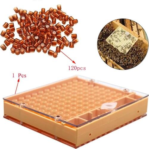 Beekeeping Queen Rearing Cell Cup Kit Equipment Apiculture System Bee Keeper Cultivate Queen-bee Set King Tools Supplier Cells