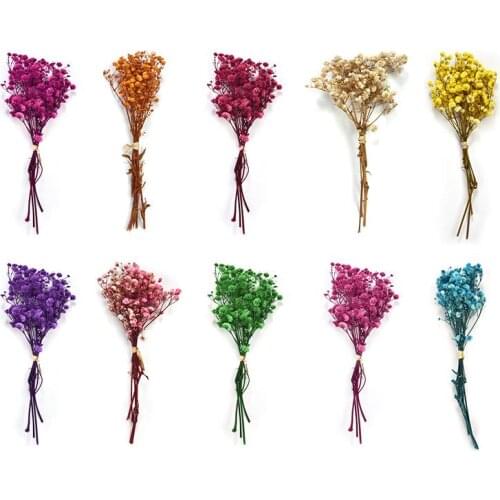 Small Gypsophila A Bunch Of Mini Artificial Dried Flowers Dyeing Natural Furniture Decoration Holding Flowers Bouquet Dry Flower