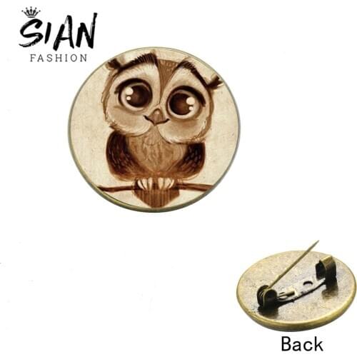 SIAN Trendy Big Eyed Owl Pins Exquisite Animal Bird Punk Picture Glass Cartoon Vintage Cute Baby Owl Icon Brooch for Women Child