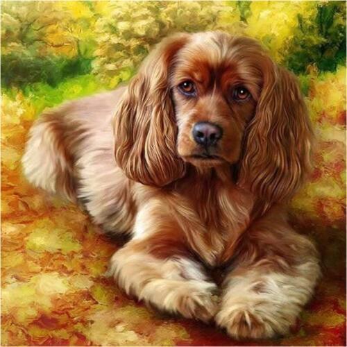 5D DIY Diamond Painting Animal&Dog Full Square Diamond Embroidery Cross Stitch Wall Painting Oil And watercolor Painting
