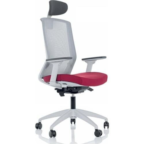 Space Office Mars Meshed Manager Chair-Regulated Armlet