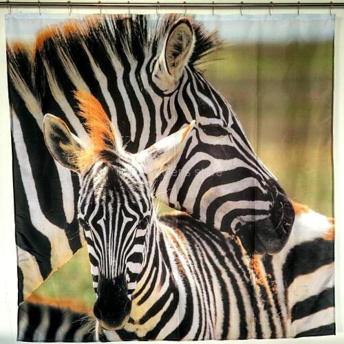 Zebra & Prairie Scenery Shower Curtain Bathroom Waterproof Mildewproof Polyester Fabric With 12 Hooks 180*180cm