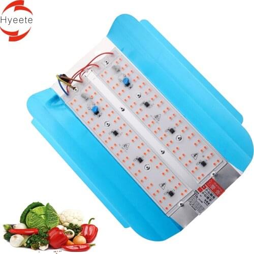 New Growing Lamps LED Strip Full Spectrum 50W 100W Indoor Plant Light Suitable for Planting Succulent Veg Fruit Greenhouse Plant