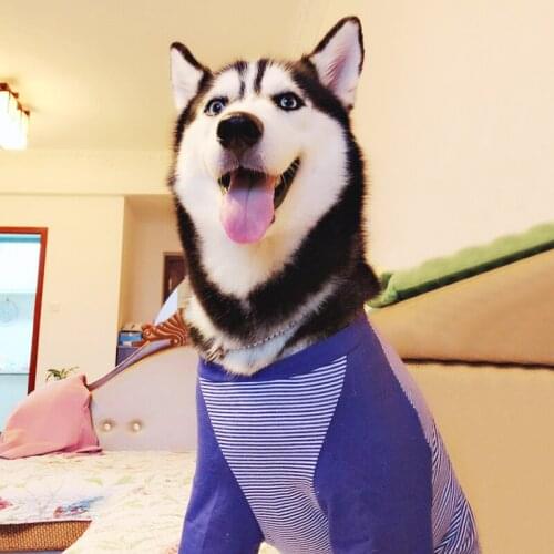 Pet Dog Clothes Clothing Coat Jacket Hoodie Sweater Clothes for Dogs Cotton Clothing for Dogs Sports Style Pet Dog Clothes New