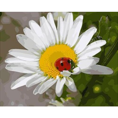 MaHuaf-W216 Insect lying on dasies painting by numbers on canvas nordic decoration wall acrylic painting for living room