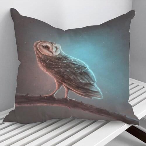 Barn Owl Throw Pillows Cushion Cover On Sofa Home Decor 45*45cm 40*40cm Gift Pillowcase Cojines Dropshipping