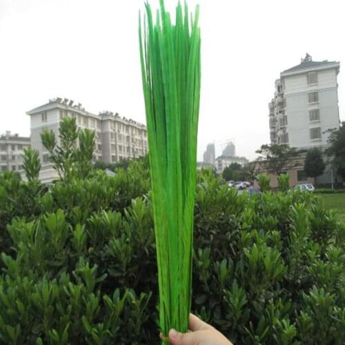Heat! 200pcs / lot green color pheasant tail feathers 16-18 inches / 40-45 cm Wedding stage decoration