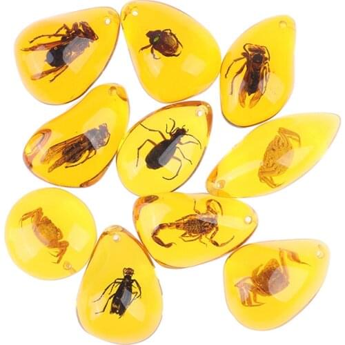 Natural Amber Stone Original Gemstones Insect Scorpions Bee Specimen Handicraft DIY Key Chain Accessories Random Color