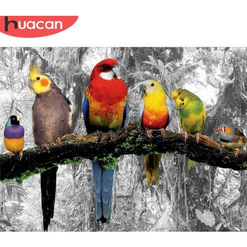 HUACAN 5D Diamond Painting Parrot Full Drill Diamond Embroidery Animal Cross Stitch Kit Rhinestone Mosaic Art Home Decoration