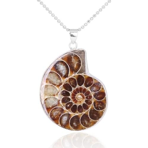 Natural Ammonite Fossils Pendant Jewelry Silver Tone Ammonite Fossils Stone Wrapped Pendant Necklace Fashion Jewelry
