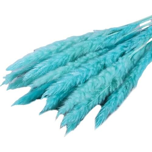 60% Hot 15Pcs/Bundle Small Pampas Grass Ornamental Desktop Decor Dried Flower Birthday Party Artificial Reed Bouquet for Garden