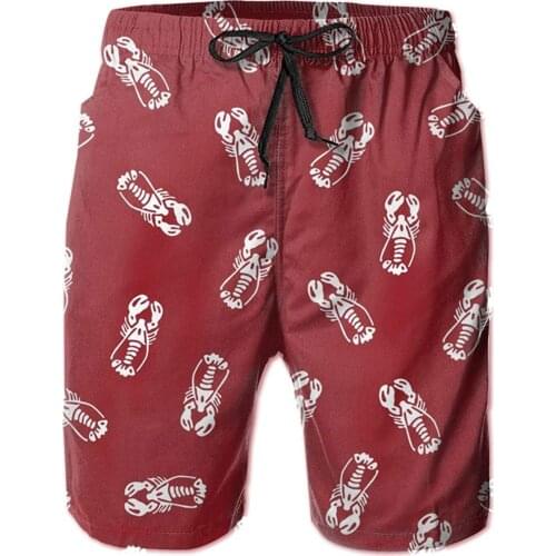 Mens Swim Trunks Quick Dry Beach Board Shorts Swimwear With Mesh Lining